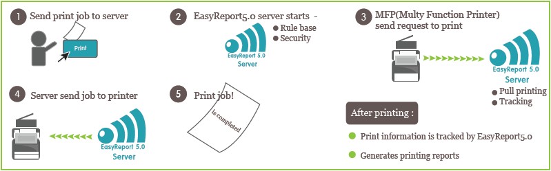 Easy Report workflow